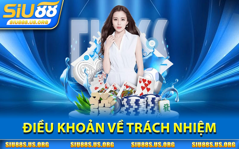 Điều Khoản Về Trách Nhiệm