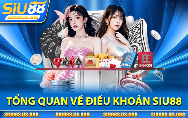 Tổng Quan Về Điều Khoản SIU88